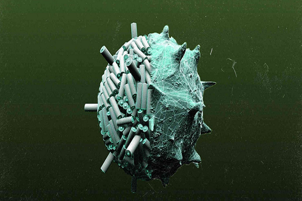 Thế hệ pin tương lai được sản xuất bằng virus