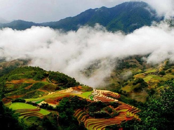 Ngao Du Trời Tây Ngay Tại Xứ Sở Việt Nam