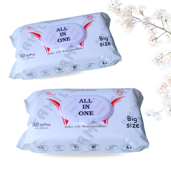 16 gói Khăn ướt ALL IN ON Big Size 60 tờ
