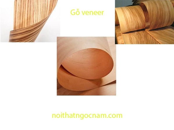 Gỗ Veneer là gì?