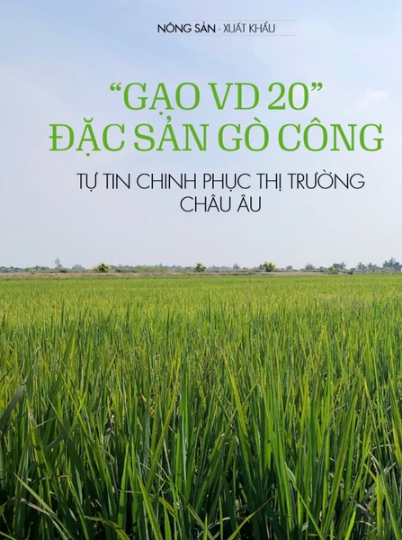 GẠO VD20 ĐẶC SẢN GÒ CÔNG TỰ TIN CHINH PHỤC THỊ TRƯỜNG CHÂU ÂU