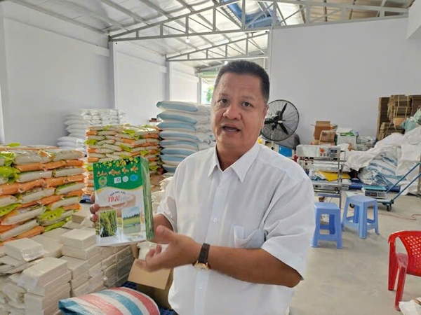 PHỤC TRÁNG GIỐNG LÚA VD20 THÀNH ĐẶC SẢN GÒ CÔNG