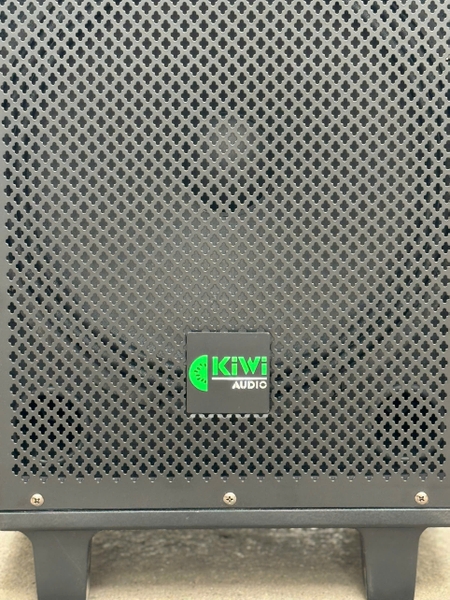 Loa Kéo Kiwi XT12Pro