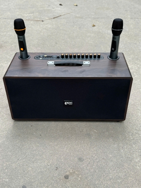 Loa xách tay Kiwi XT220