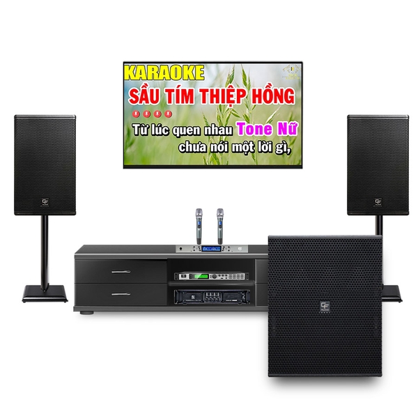 Dàn karaoke gia đình CF Audio CF03