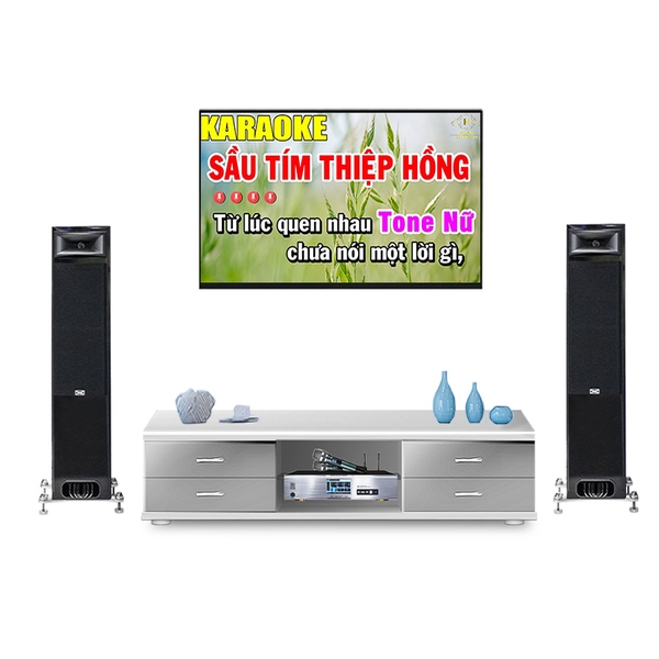 Dàn karaoke gia đình TRS Audio TRS01