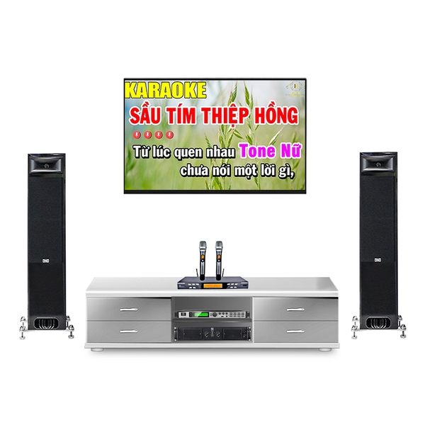 Dàn karaoke gia đình TRS Audio TRS03