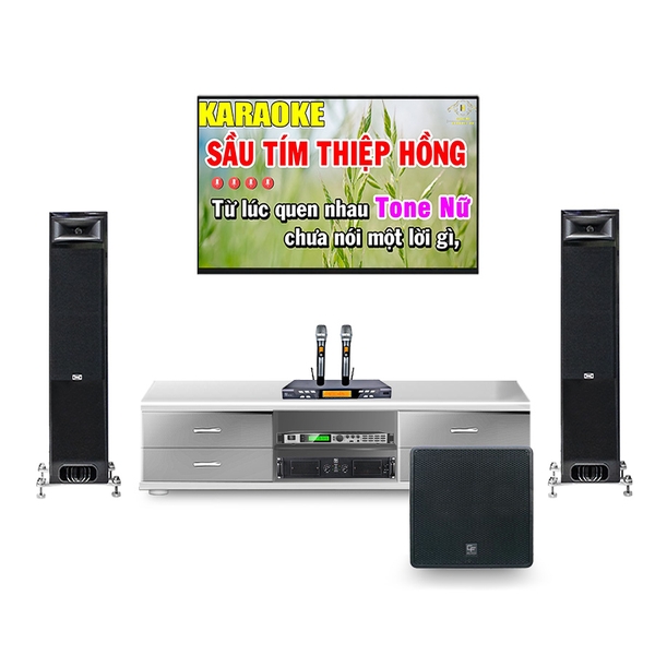 Dàn karaoke gia đình TRS Audio TRS 04