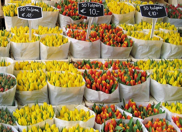 Mẹo nhỏ hướng dẫn tìm shop hoa tươi Quận Cẩm Lệ - Đà Nẵng