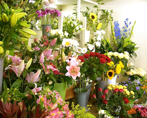 Mẹo nhỏ hướng dẫn tìm shop hoa tươi Huyện Hiệp Đức - Quảng Nam