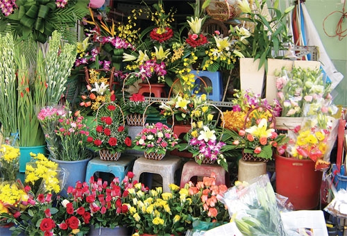 Mẹo nhỏ hướng dẫn tìm shop hoa tươi Huyện Phú Ninh - Quảng Nam