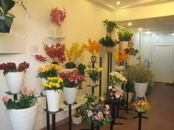 Mẹo nhỏ hướng dẫn tìm shop hoa tươi Thành Phố Tam Kỳ - Quảng Nam
