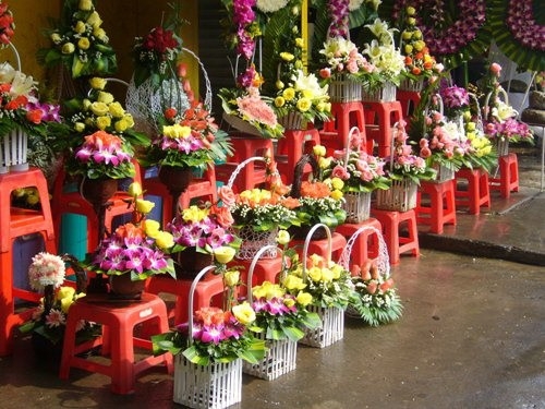 Cửa hàng kinh doanh hoa tươi huyện Hướng Hóa - Quảng Trị