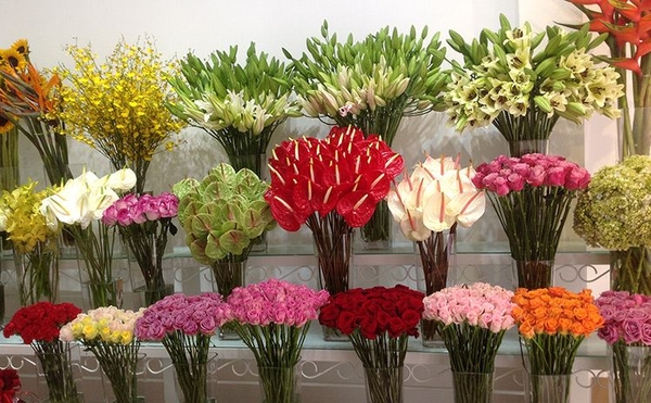 Cửa hàng kinh doanh hoa tươi huyện Lộc Hà - Hà Tĩnh
