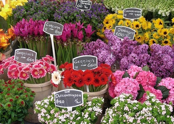 Cửa hàng kinh doanh hoa tươi huyện Tuyên Hóa - Quảng Bình