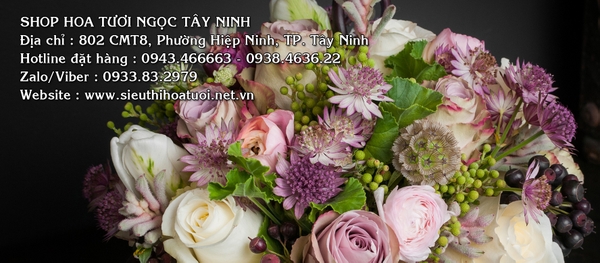 Mách nhỏ Shop bán hoa tươi uy tín tại Tây Ninh [HOA ĐẸP - GIÁ RẺ]