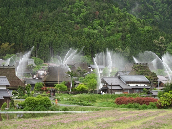 Homestay mùa thu lá đỏ Hà Nội - Kansai - Osaka - Kyoto - Nara - Hà Nội. (4 Ngày 3 Đêm)