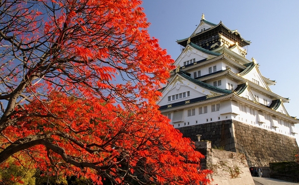 Tour mùa thu lá đỏ từ Osaka --> Kobe --> Kyoto --> Nagoya --> Phú sĩ --> Tokyo --> Vietnam. (6 Ngày 5 Đêm)