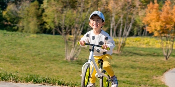 Quà sinh nhật cho bé trai 2 tuổi – Những lựa chọn giúp bé khám phá thế giới