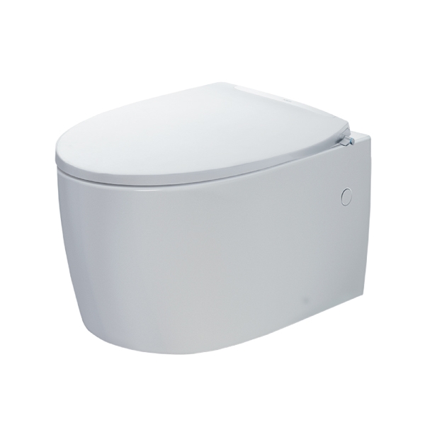 Bồn cầu nắp rửa cơ AC-952+CW-S32VN
