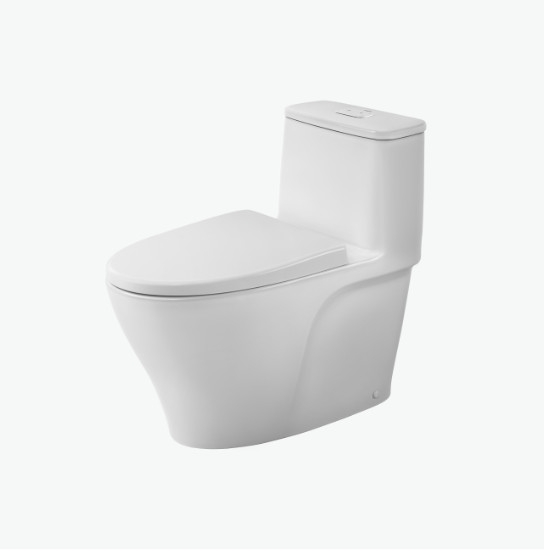 BÀN CẦU MỘT KHỐI INAX AC-989VN