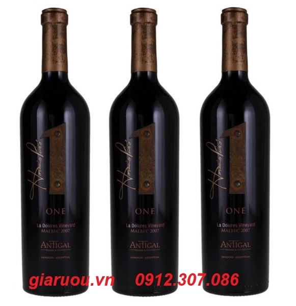 TỔNG ĐẠI LÝ VANG ARGENTINA 1 ONE MALBEC LA DOLORES VINEYARD ANTIGAL