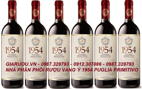 BÁN BUÔN, PHÂN PHỐI ĐỘC QUYỀN VANG Ý 1954 PUGLIA PRIMITIVO