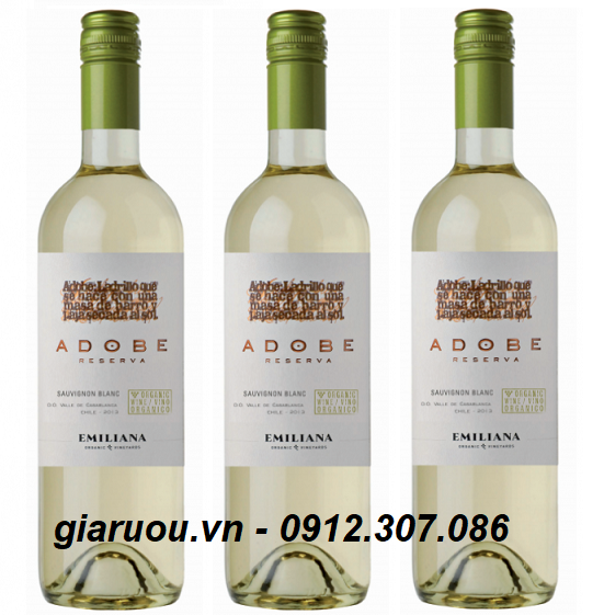 TỔNG ĐẠI LÝ VANG CHILE ADOBE RESERVA SAUVIGNON BLANC