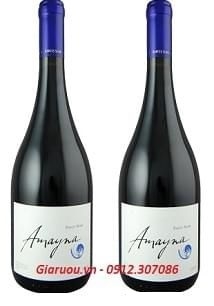 PHÂN PHỐI VANG CHILE AMAYNA PINOT NOIR GIÁ TỐT NHẤT