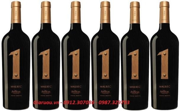 PHÂN PHỐI RƯỢU VANG ARGENTINA 1 MALBEC ANTIGAL GIÁ RẺ NHẤT