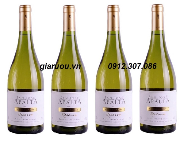 BÁN VANG CHILE SAN JOSE APALTA RESERVA CHARDONNAY CHÍNH HÃNG GIÁ RẺ
