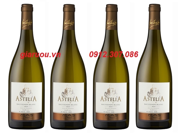 PHÂN PHỐI VANG PHÁP ASTELIA SAUVIGNON BLANC GIÁ TỐT NHẤT