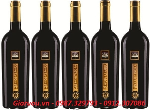 BÁN BUÔN RƯỢU VANG Ý BRECCIAROLO GOLD GIÁ RẺ NHẤT