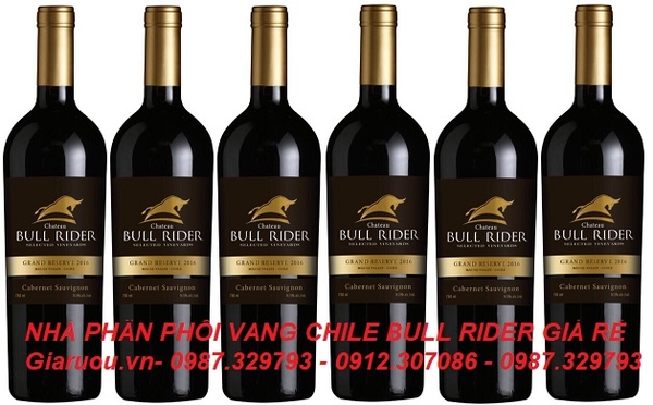 NHÀ PHÂN PHỐI VANG CHILE BULL RIDER GIÁ RẺ NHẤT