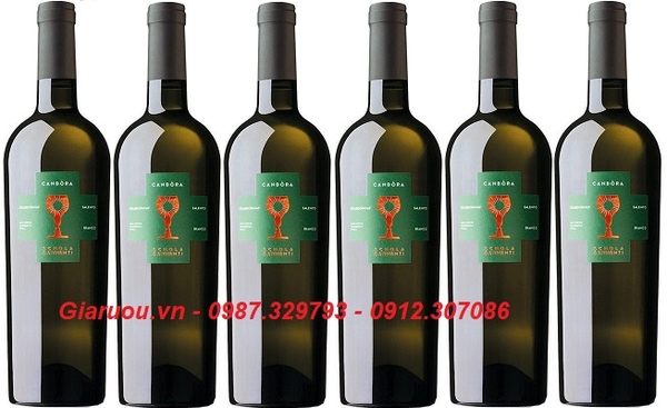 PHÂN PHỐI BÁN BUÔN VANG Ý CANDORA CHARDONNAY GIÁ CỰC RẺ
