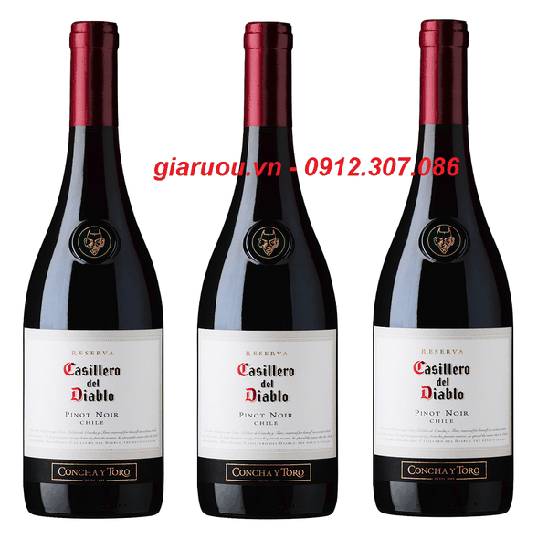 PHÂN PHỐI VANG CHILE CASILLERO DEL DIABLO PINOT NOIR GIÁ RẺ NHẤT