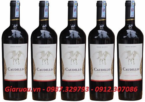 BÁN BUÔN VANG CHILE CAUDILLO GRAN RESERVA GIÁ RẺ NHẤT THỊ TRƯỜNG