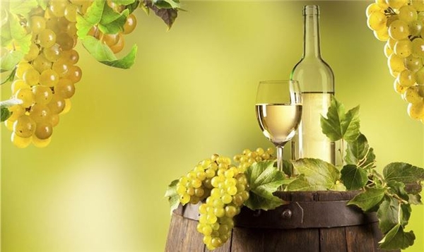 Vì sao Chardonnay lại được gọi là nữ hoàng rượu vang trắng?