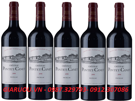 PHÂN PHỐI RƯỢU VANG PHÁP CHATEAU PONTET CANET GIÁ RẺ NHẤT