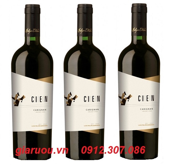 CHUYÊN PHÂN PHỐI VANG CHILE CIEN CARIGNAN GIÁ TỐT NHẤT