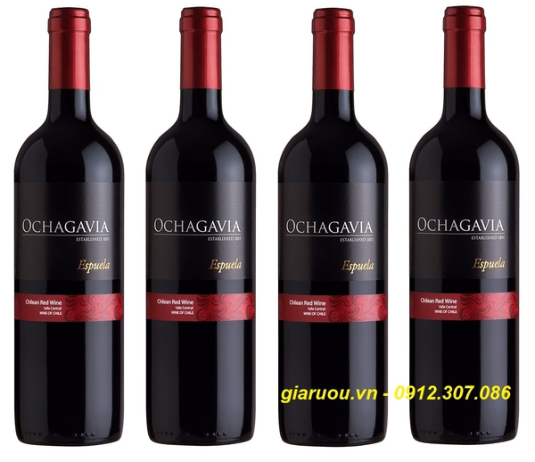 GIÁ VANG CHILE OCHAGAVIA ESPUELA RED WINE RẺ NHẤT THỊ TRƯỜNG