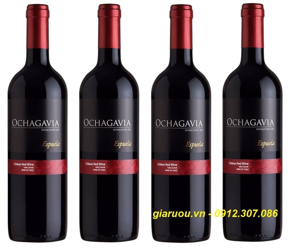 Ở ĐÂU BÁN VANG CHILE OCHAGAVIA ESPUELA RED WINE