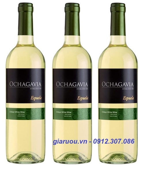 TỔNG ĐẠI LÝ VANG CHILE OCHAGAVIA ESPUELA WHITE