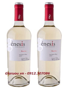 TỔNG ĐẠI LÝ VANG CHILE GENESIS RESERVA SAUVIGNON BLANC