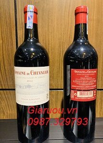 Khám phá những điều thú vị đến từ rượu vang Pháp