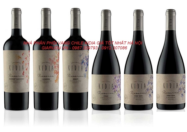 NHÀ PHÂN PHỐI RƯỢU VANG CHILE KIDIA GIÁ RẺ NHẤT