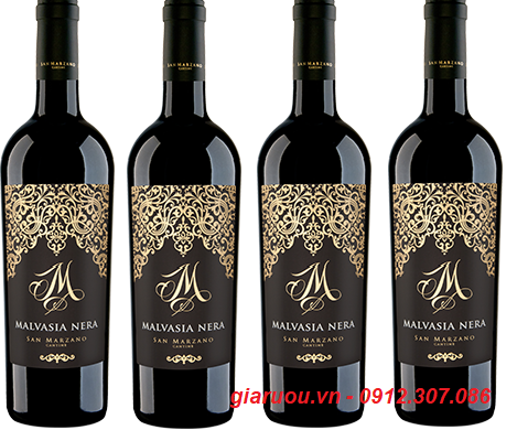 GIÁ VANG Ý M MALVASIA NERA TỐT NHẤT MIỀN BẮC