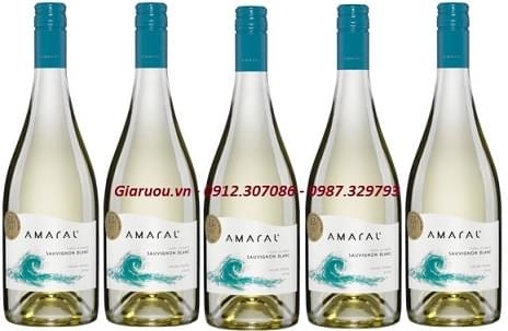 PHÂN PHỐI VANG CHILE MONTGRAS AMARAL SAUVIGNON BLANC