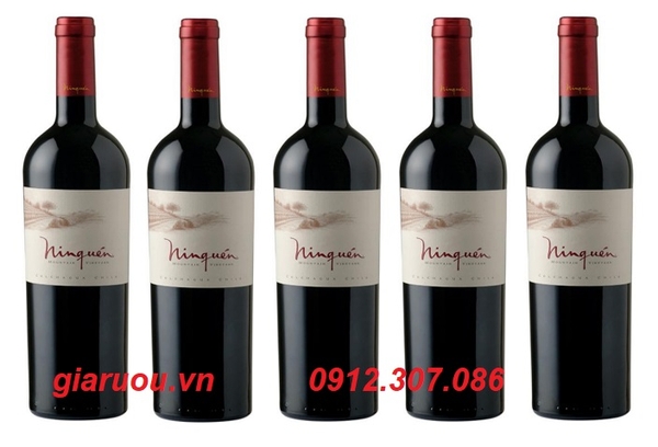 CUNG CẤP VANG CHILE MONTGRAS NINQUEN - HÀNG CHẤT GIÁ CỰC TỐT