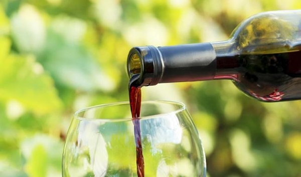 Vì sao vang organic trở thành xu hướng của giới sành vang?